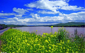 飲用凈水器的水究竟是否會導(dǎo)致營養(yǎng)缺乏？